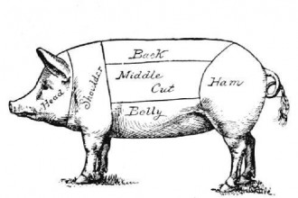 pig diagram1