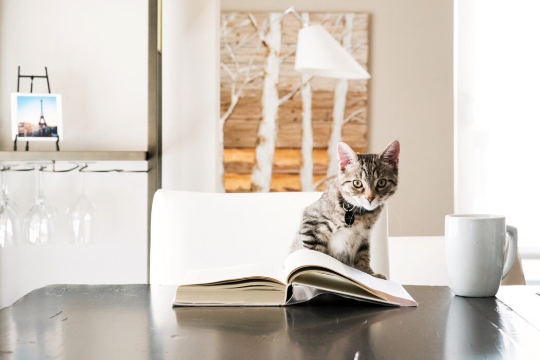 cat reading a book with a coffee at the kitchen table t20 Llx92Z