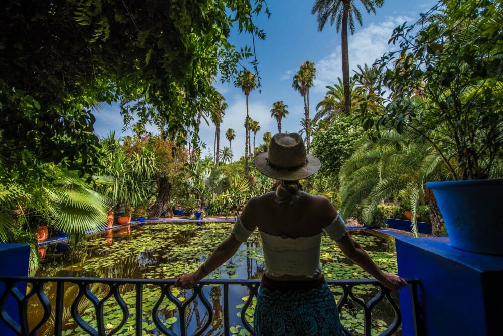 The view at the Yves Saint Laurent Gardens