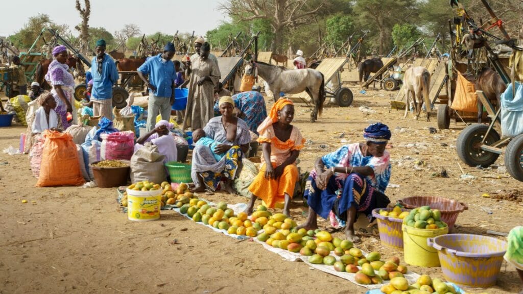 Climate Change Disproportionately Affects Women